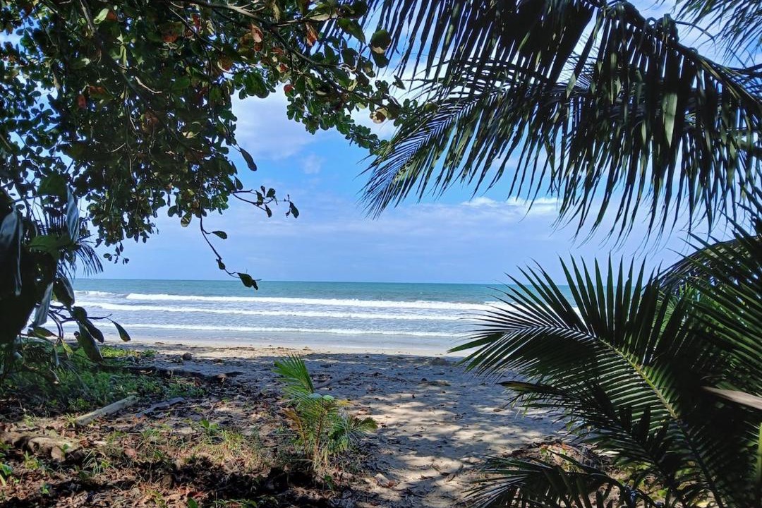 Photo of Others in Cahuita