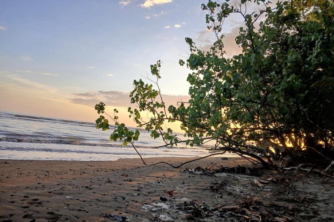 Photo of Others in Cahuita