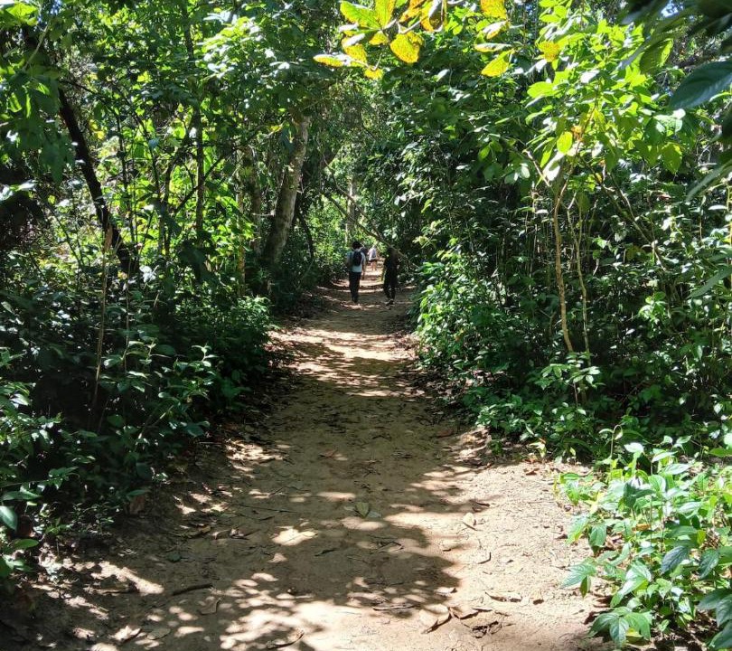 Photo of Others in Cahuita