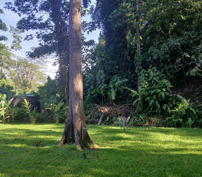 Photo of Others in Cahuita