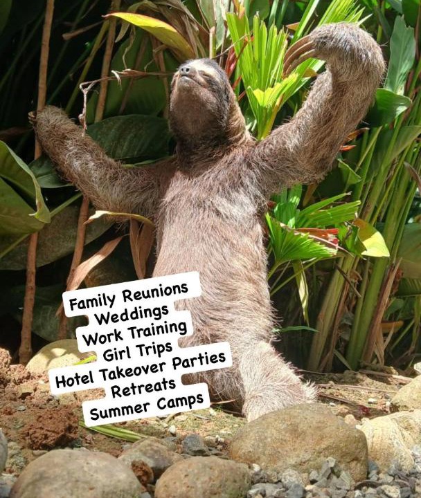 Photo of Others in Punta Uva