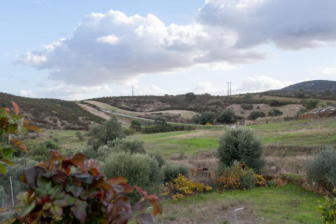 Photo of Others in Mertola