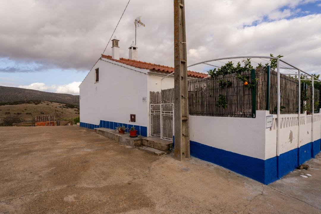 Photo of Others in Mertola