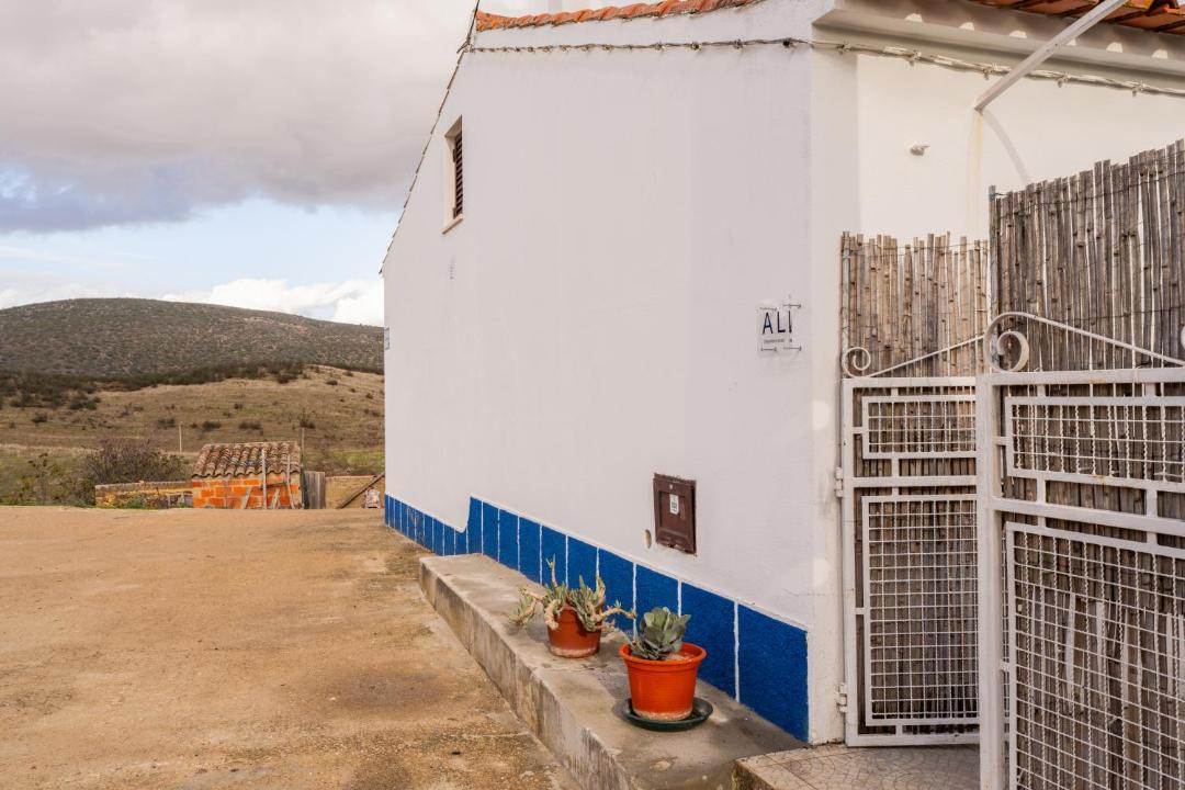 Photo of Others in Mertola
