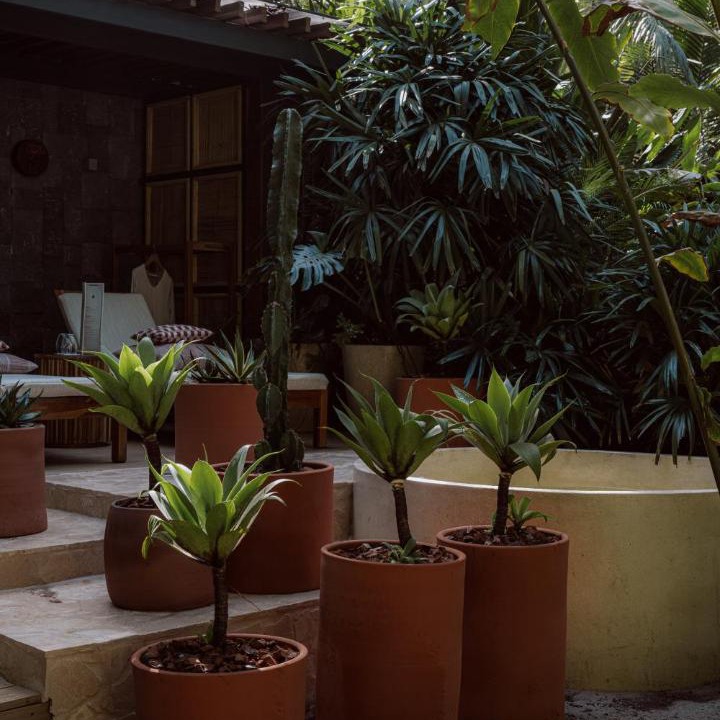 Photo of Others in Punta Uva