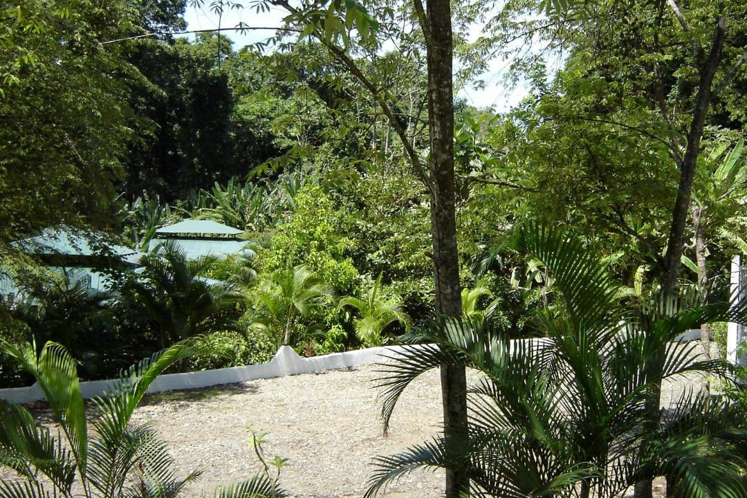 Photo of Others in Chiguata
