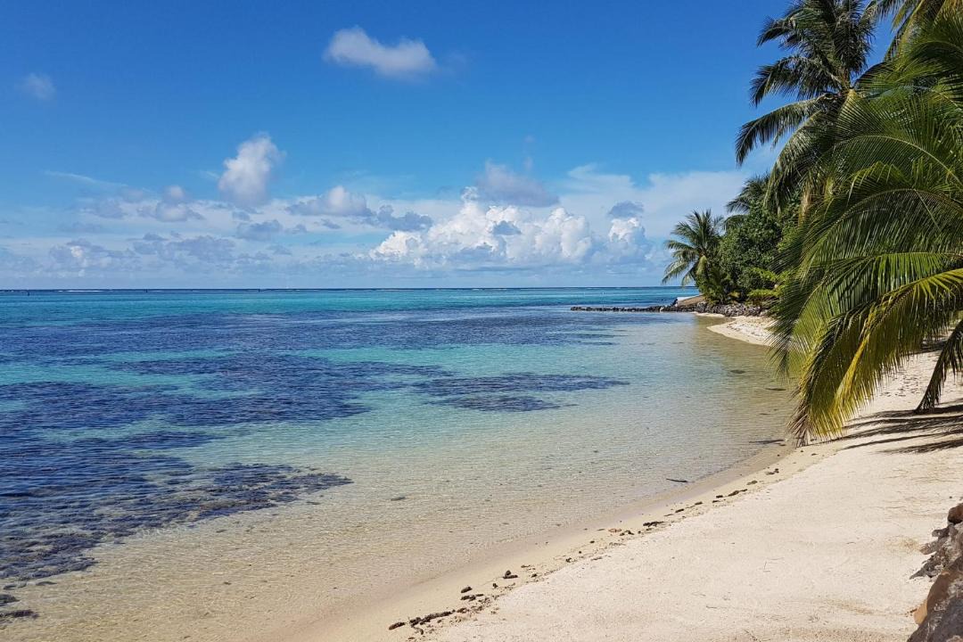 Photo of Others in Pihaena