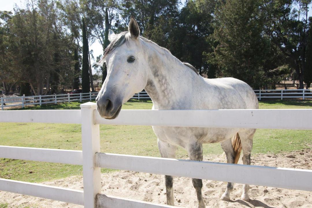 Photo of Others in Santa Ynez Valley