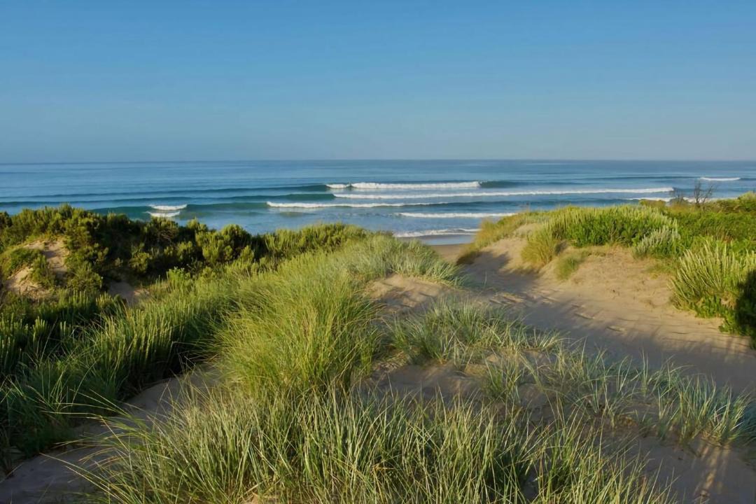 Photo of Others in Venus Bay