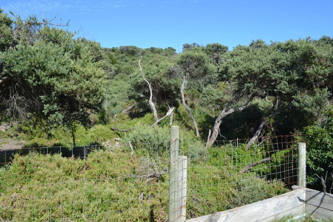 Photo of Others in Venus Bay