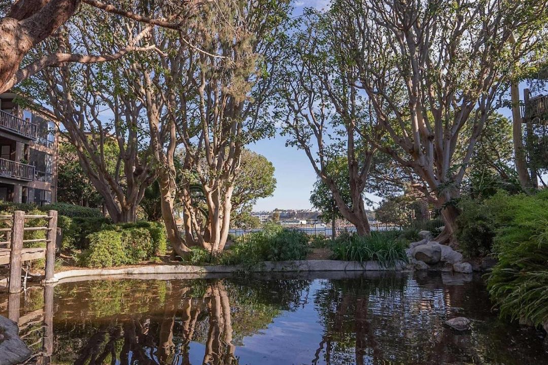 Photo of Others in Marina del Rey