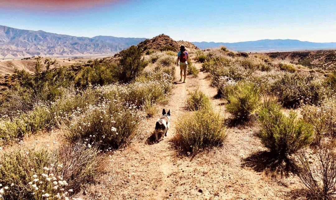 Photo of Others in New Cuyama