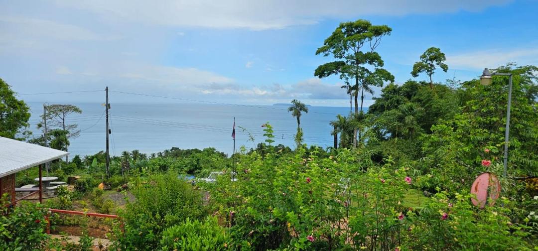 Photo of Others in Drake Bay