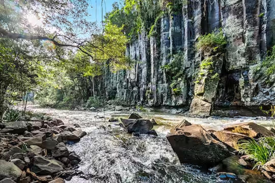 Photo of Others in North Maleny