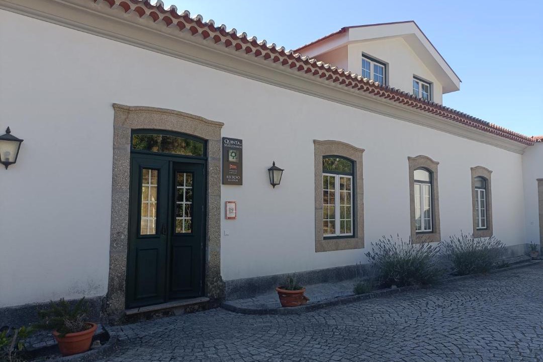 Photo of Others in Viseu