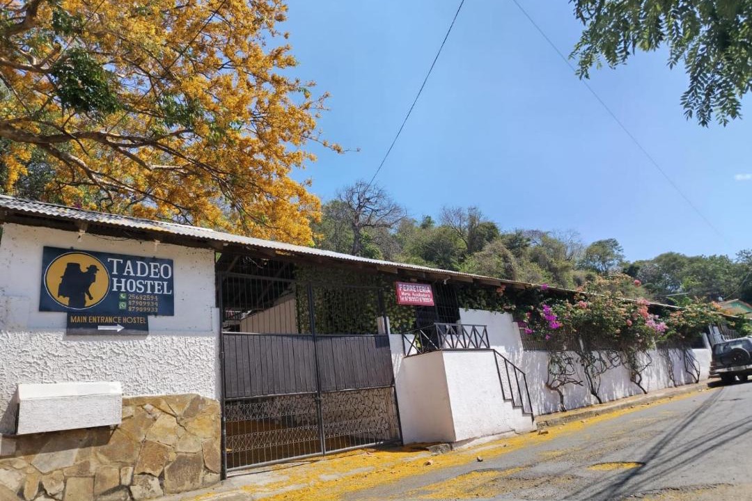 Photo of Others in San Juan del Sur
