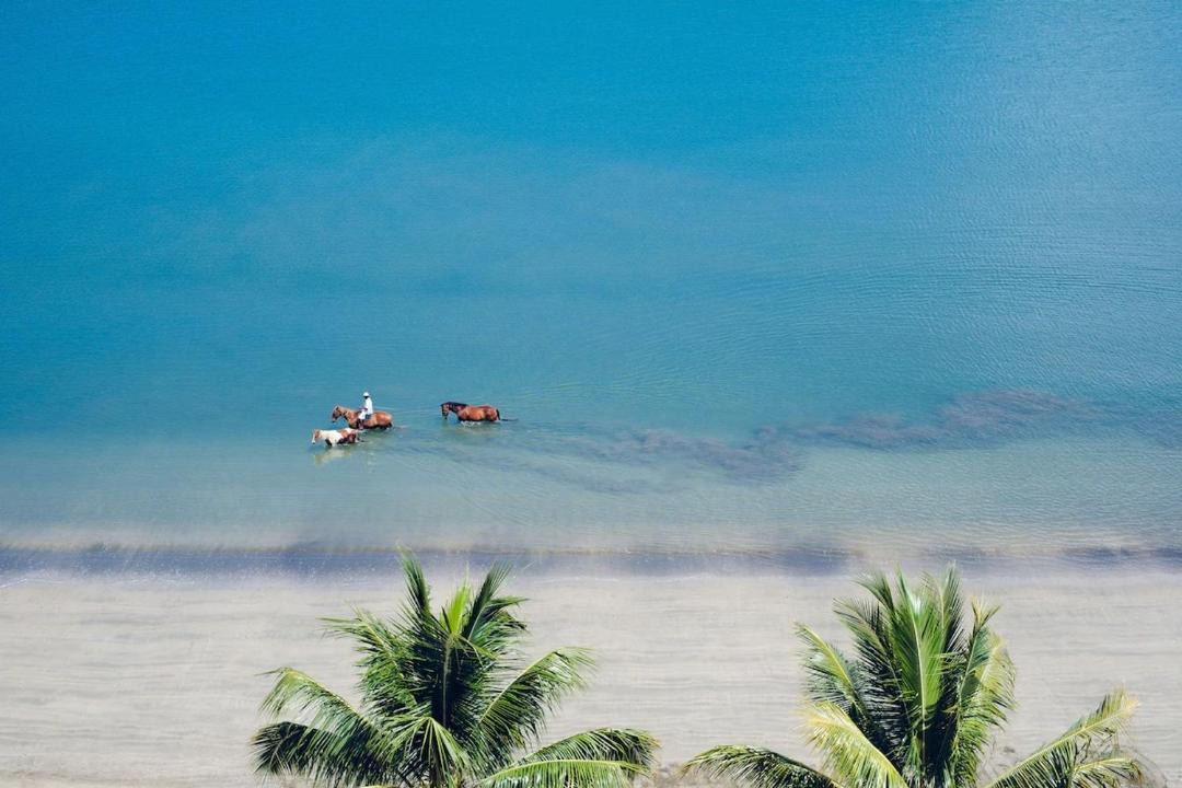 Photo of Others in Wailoloa
