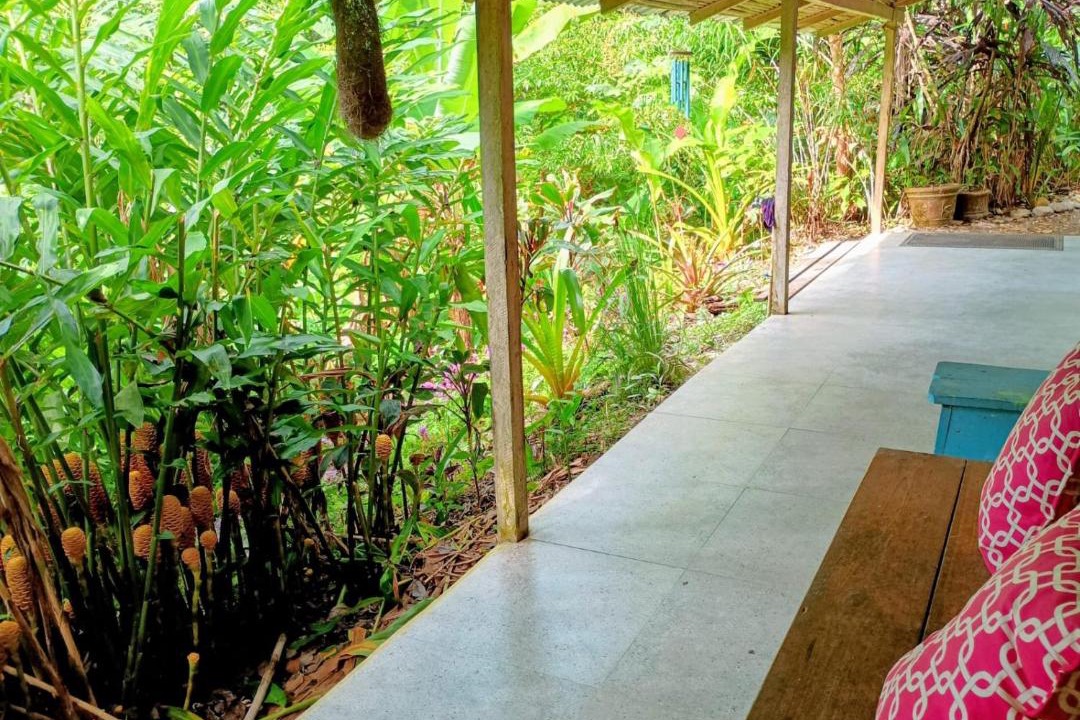 Photo of Others in Cahuita