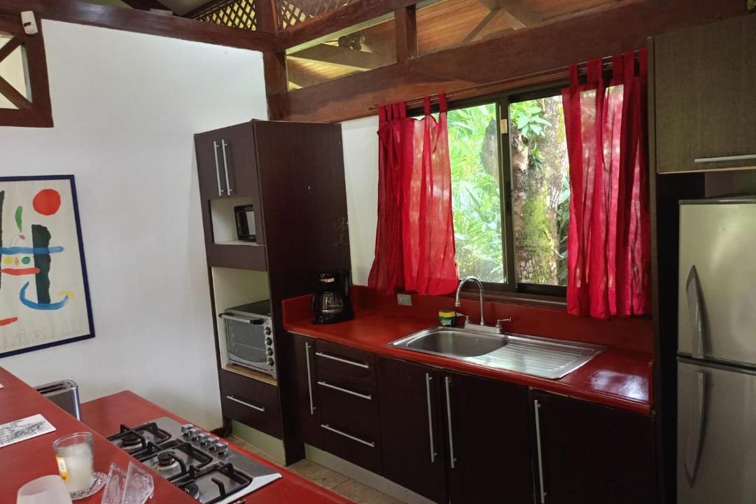 Photo of Others in Cahuita
