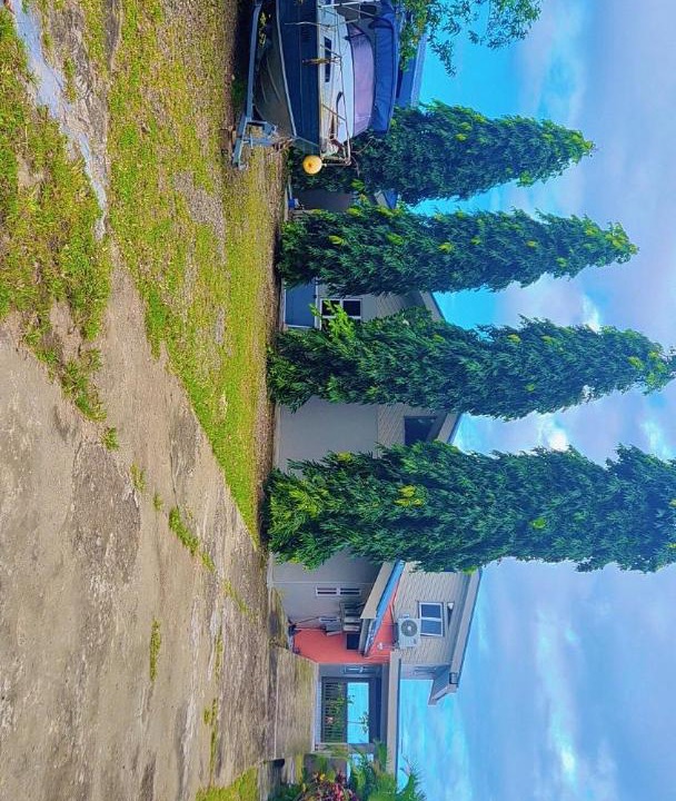 Photo of Others in Suva