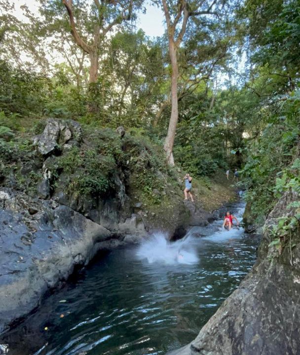 Photo of Others in Taveuni Island East