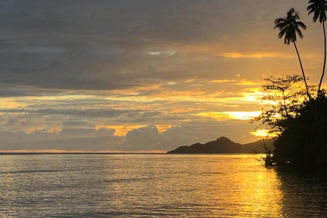 Photo of Others in Taveuni Island East