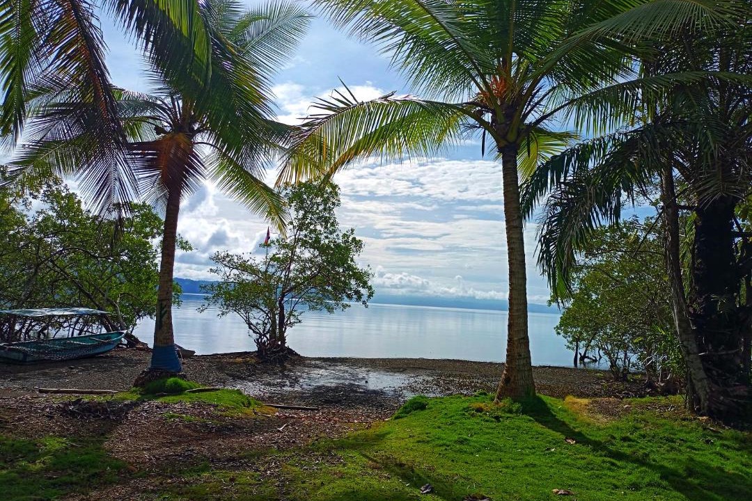 Photo of Others in Rincon
