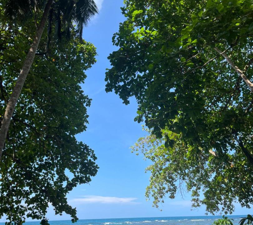 Photo of Others in Puerto Viejo de Talamanca
