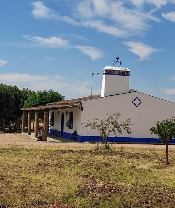 Photo of Buildings in Reguengos de Monsaraz