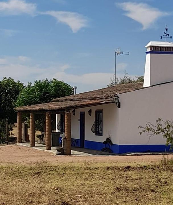 Photo of Buildings in Reguengos de Monsaraz