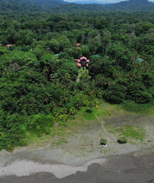 Photo of Others in Cahuita