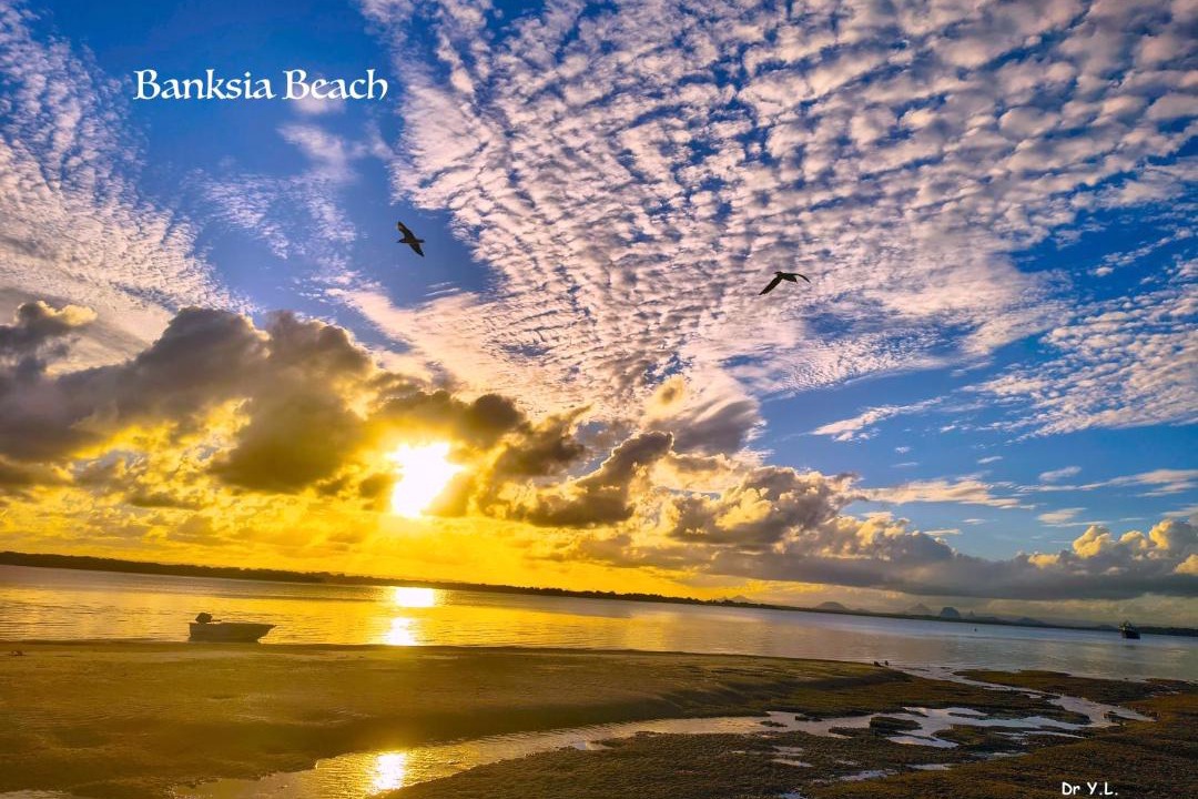 Photo of Others in Banksia Beach