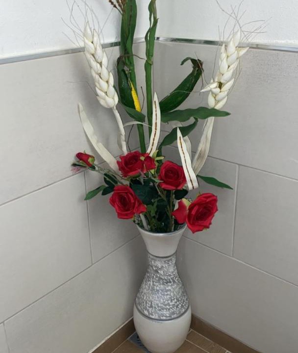 Photo of Bathroom in Sernancelhe