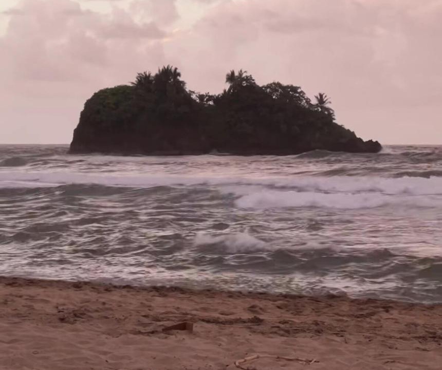 Photo of Others in Puerto Viejo de Talamanca