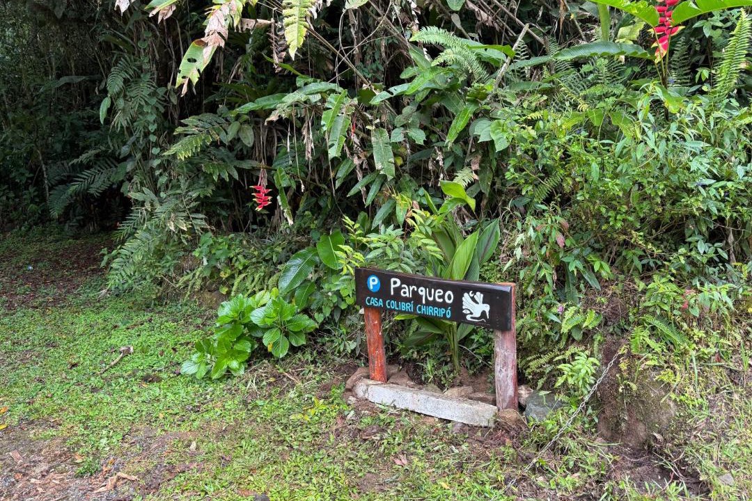 Photo of Others in Rivas