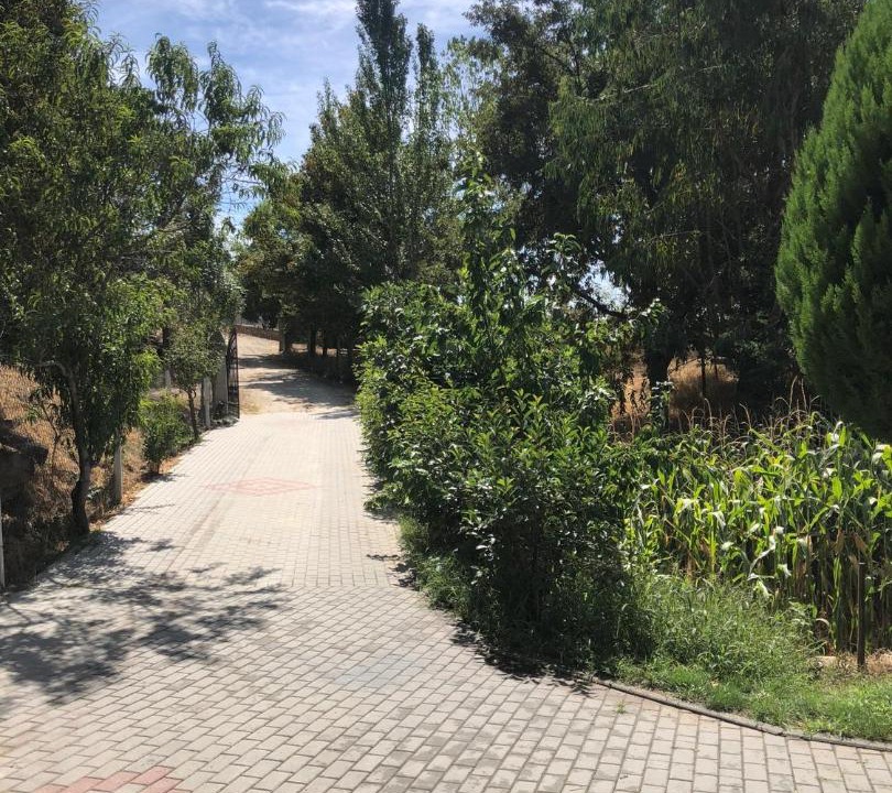 Photo of Outdoor in Sernancelhe e Sarzeda