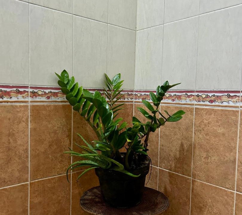 Photo of Bathroom in Seminyak