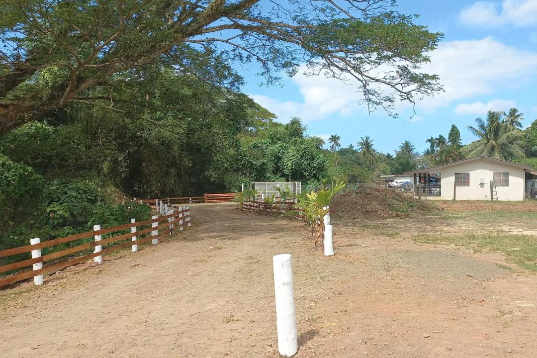 Photo of Others in Savusavu