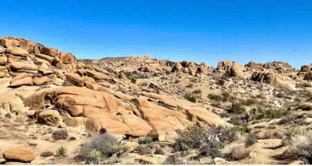 Photo of Others in Twentynine Palms