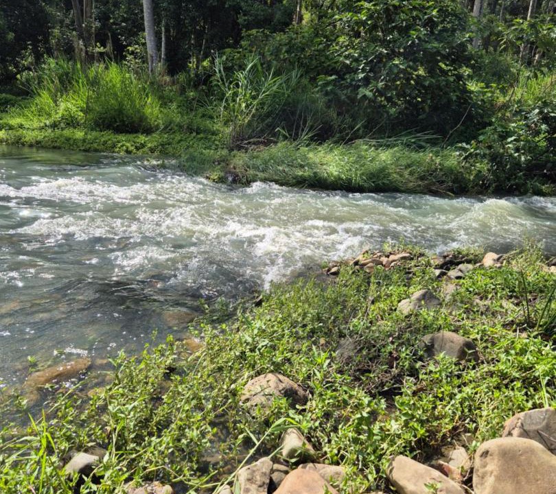 Photo of Others in Tallebudgera Valley