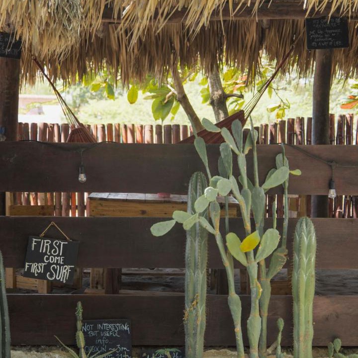 Photo of Others in Popoyo