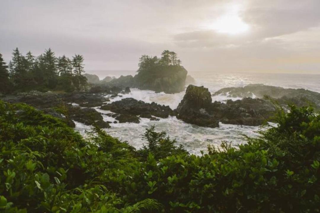 Photo of Others in Ucluelet