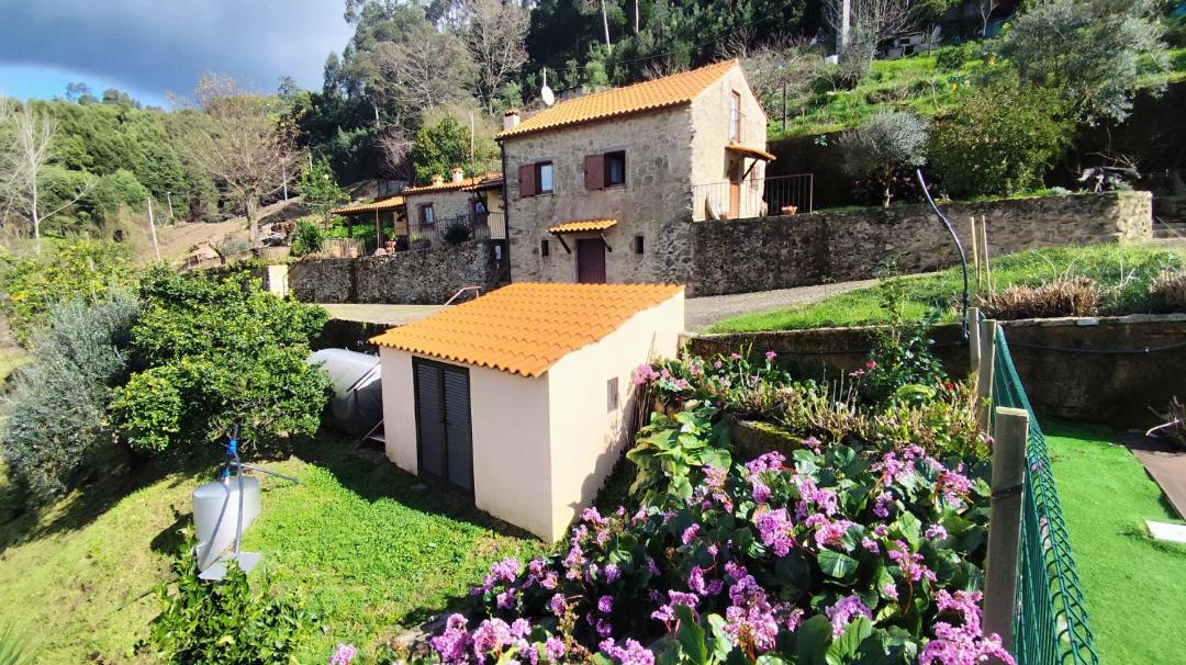 Photo of Others in Sever do Vouga