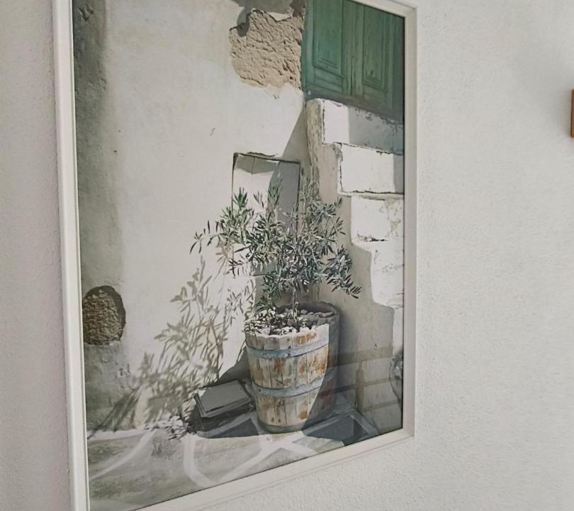 Photo of Others in Aljezur
