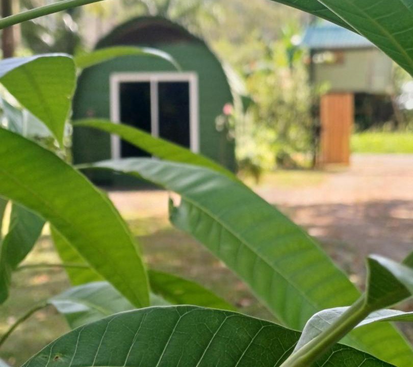 Photo of Others in Cahuita