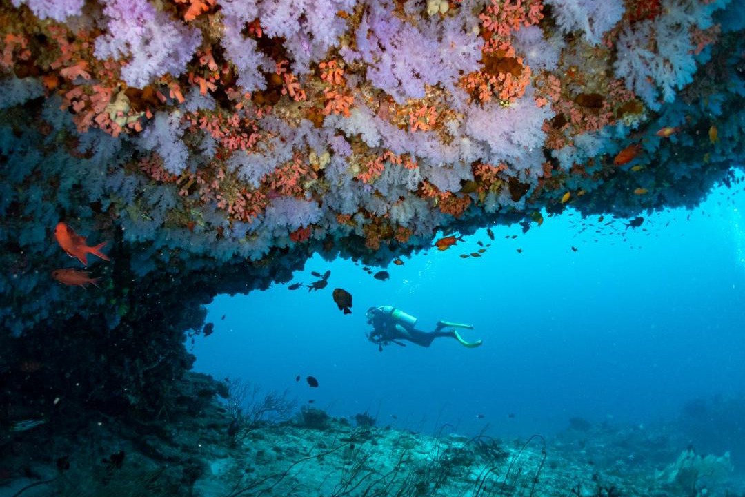 Photo of Others in Vaavu Atoll
