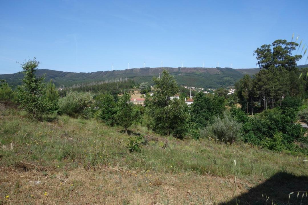 Photo of Others in Castanheira de Pera