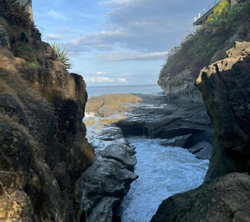 Photo of Others in Playa Gigante