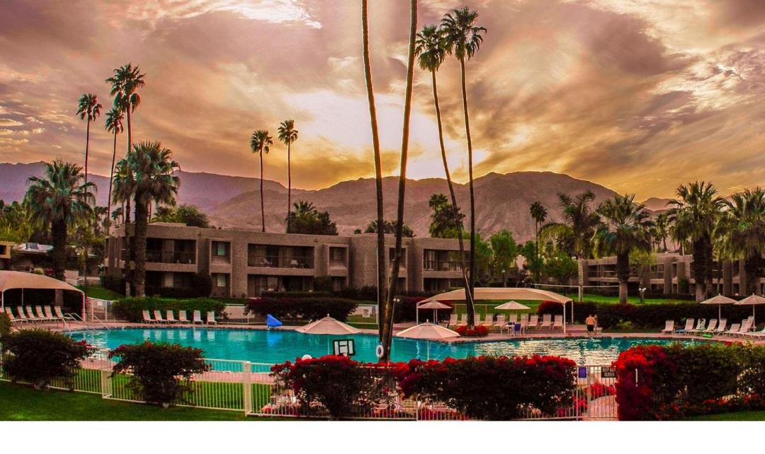 Photo of Others in Palm Desert