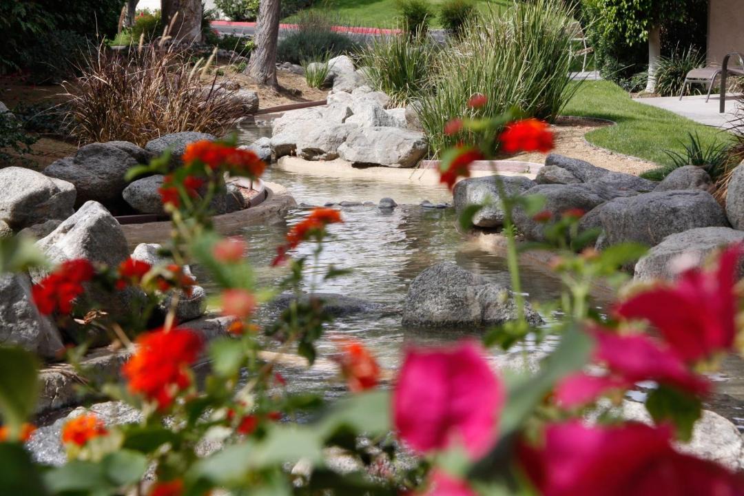 Photo of Others in Palm Desert